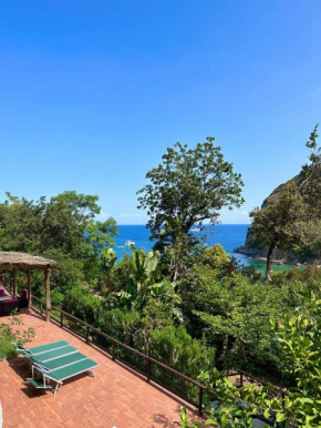 Casa Rosada - villa vista mare - Ischia